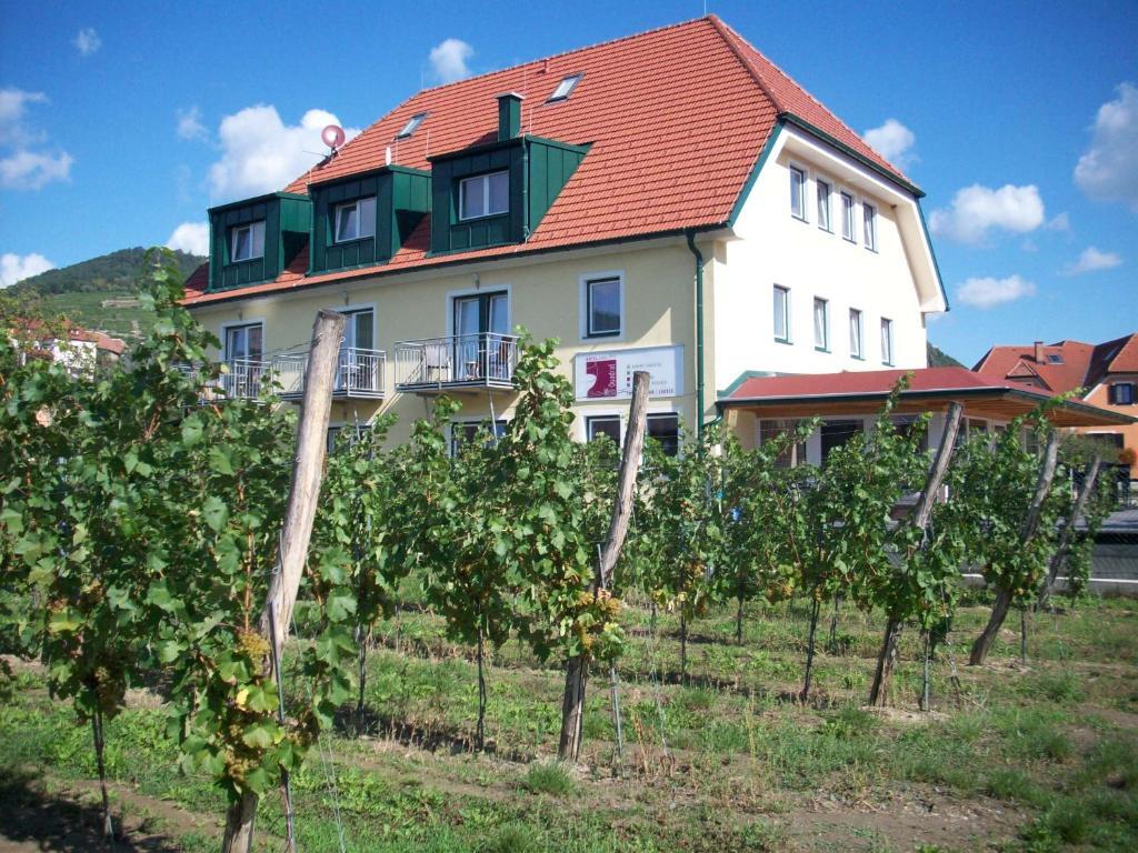 Hotel Garni Weinquadrat Weissenkirchen in der Wachau Exterior foto